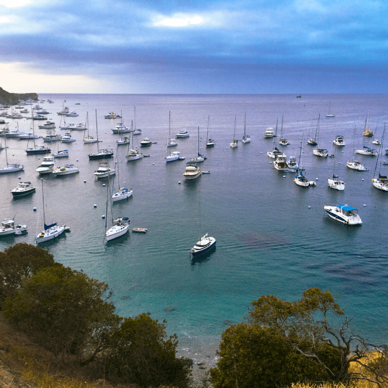 Many take their own boats to the island