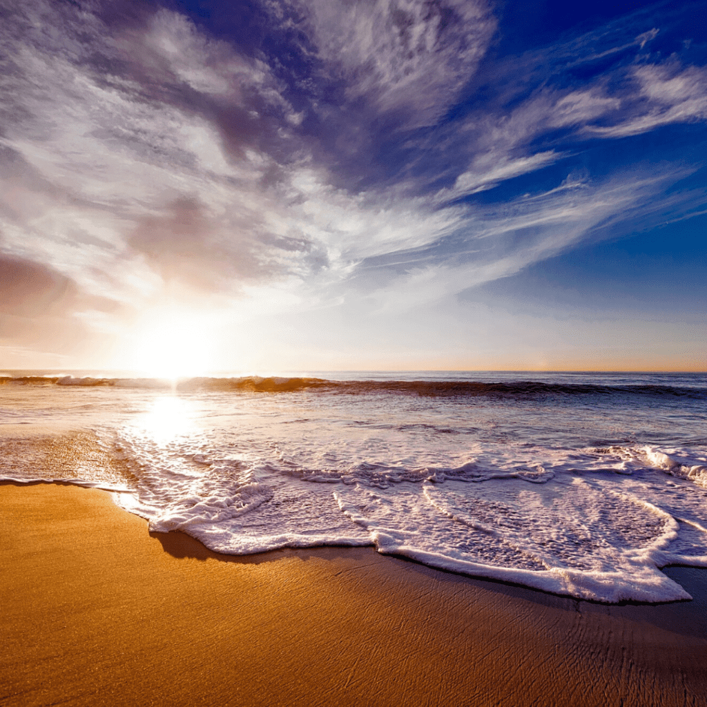 Point Reyes Beach