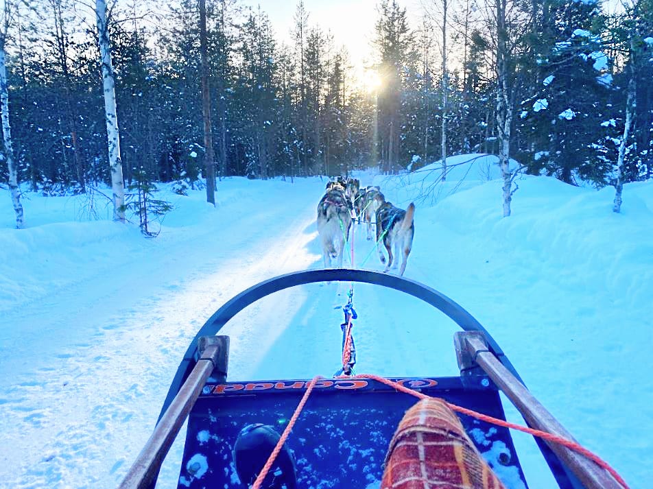 Always5Star Rovaniemi Santas Arctic Igloos