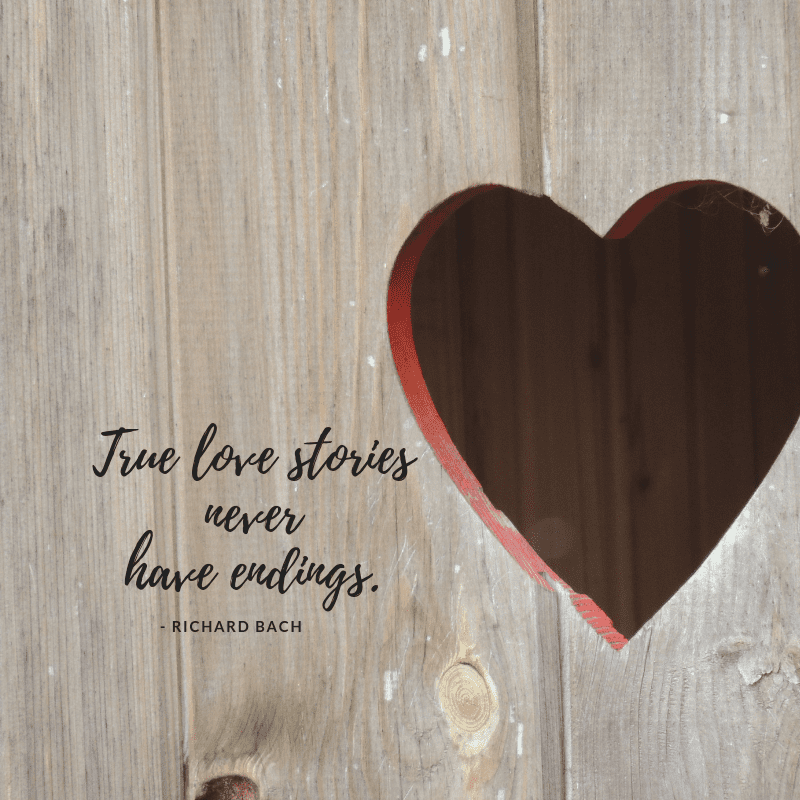 True Love Stories Never Have Endings.