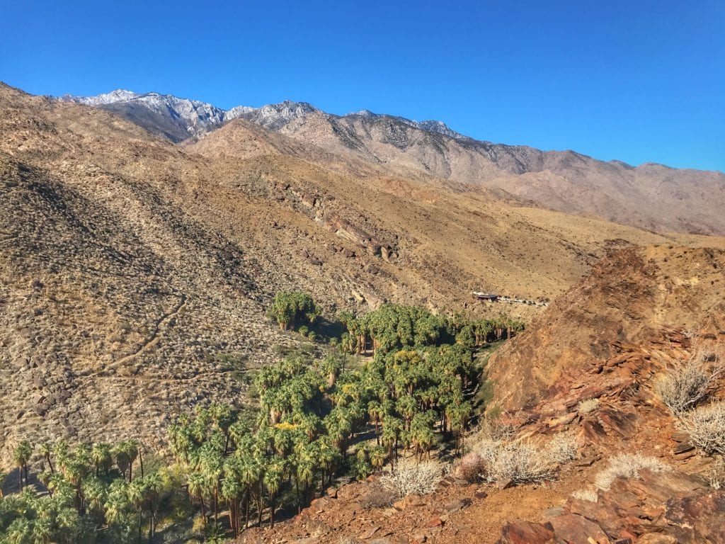 View from above of the oasis where we started!