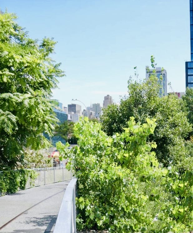 Walking the High Line