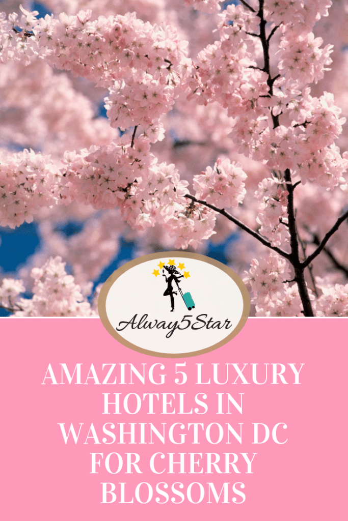 Always5Star 5 Top Luxury Hotel For Cherry Blossoms Pinterest