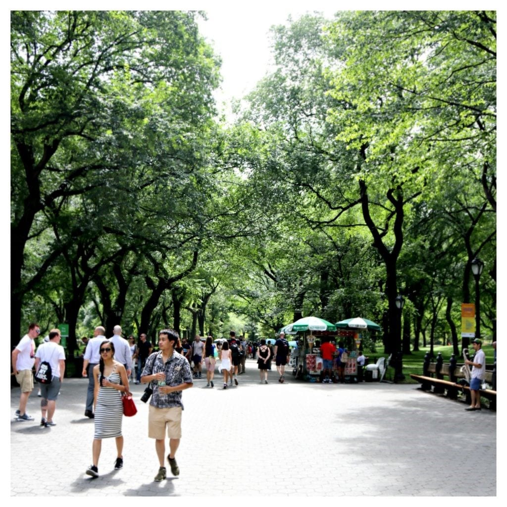 Walking in New York City Central Park