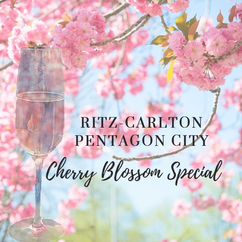 Ritz-Carlton Pentagon City Cherry Blossom Special