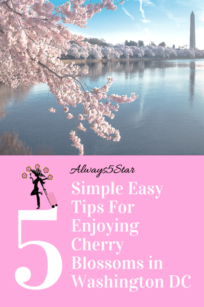 Always5Star Washington DC 5 Easy Tips For Enjoying Cherry Blossoms