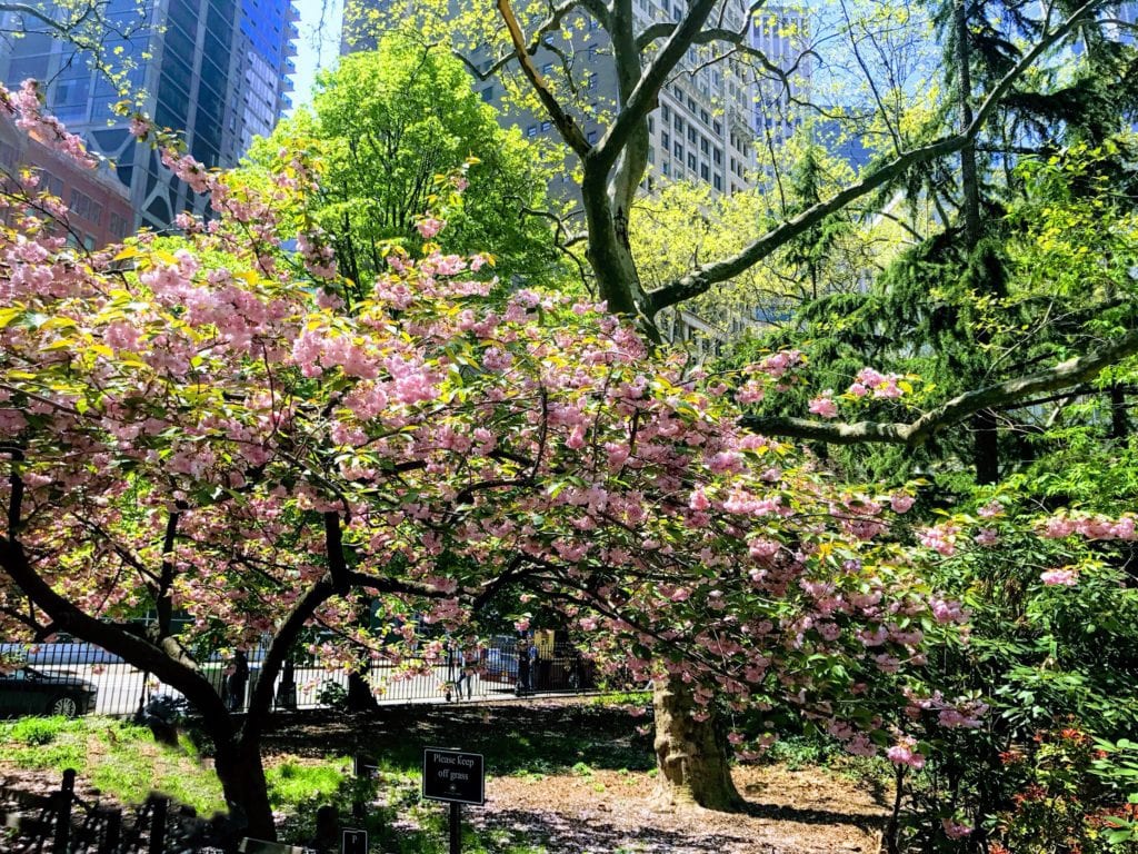 Central Park New York City