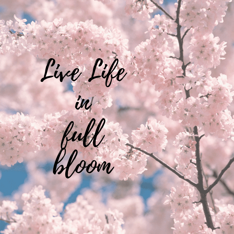 Live life in full bloom