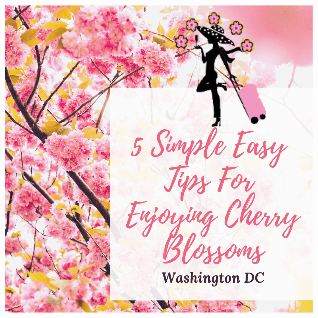 Always5Star 5 Simple Easy Tips for Enjoying Cherry Blossoms in Washington DC