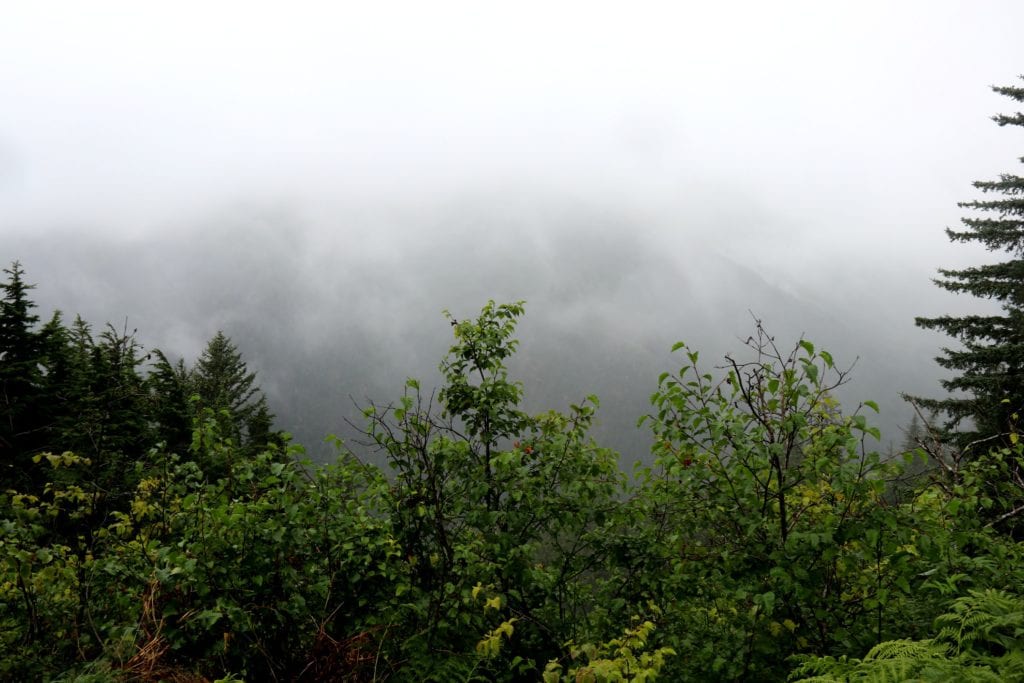 Juneau drizzly day