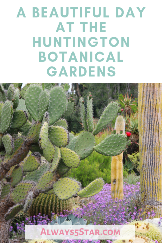Huntington Library Botantical Gardens Top 10 Tips