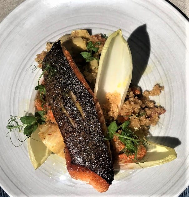 Salmon | quinoa, endive, artichokes, meyer lemon