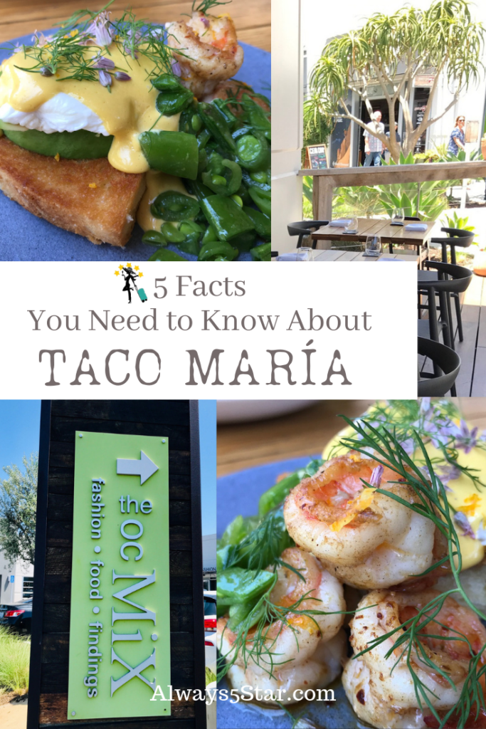 Always5Star Taco María 5 Facts You Need To Know About Pinterest