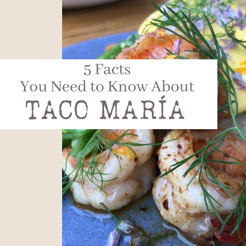 Always5Star Taco María 5 Facts You Need To Know About Title