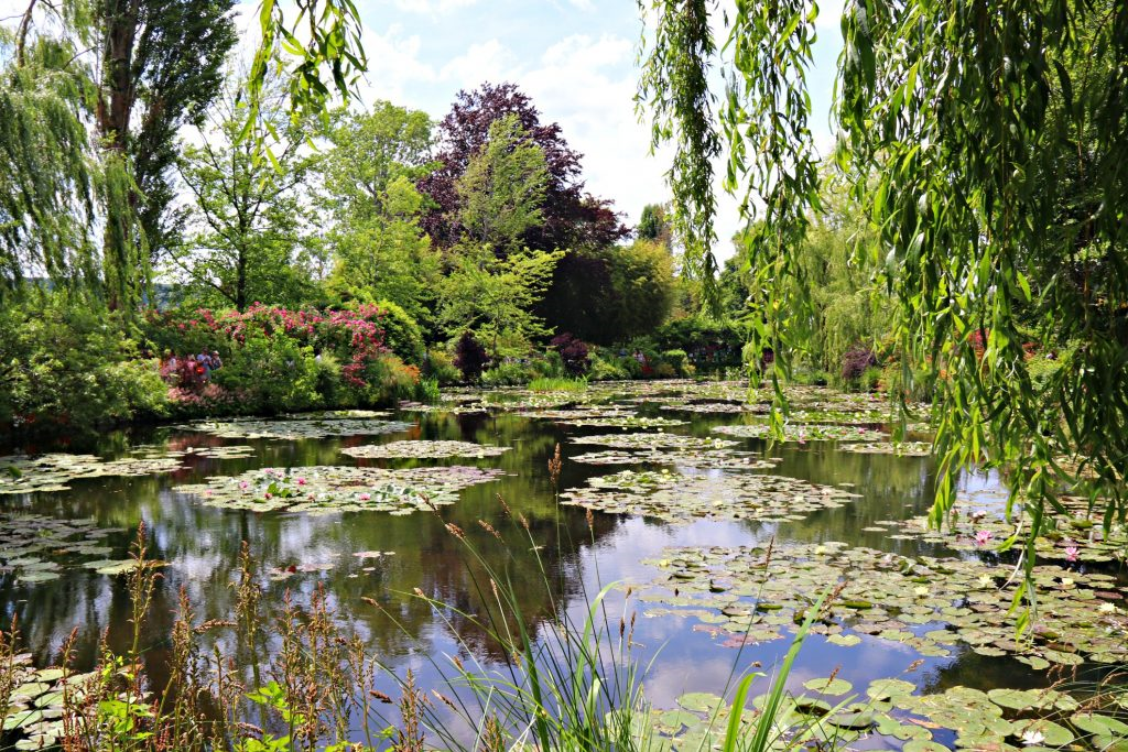 Cindy Bokma - Always5Star - Day Trip To Rouen and Giverny 5