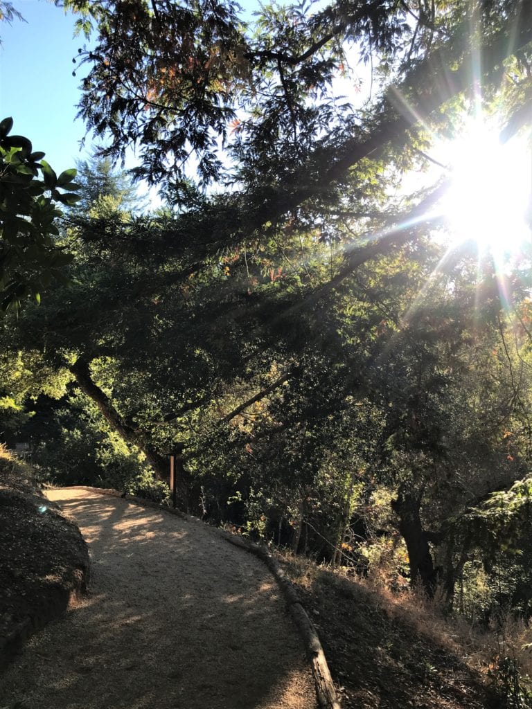 Morning hikes are the best!