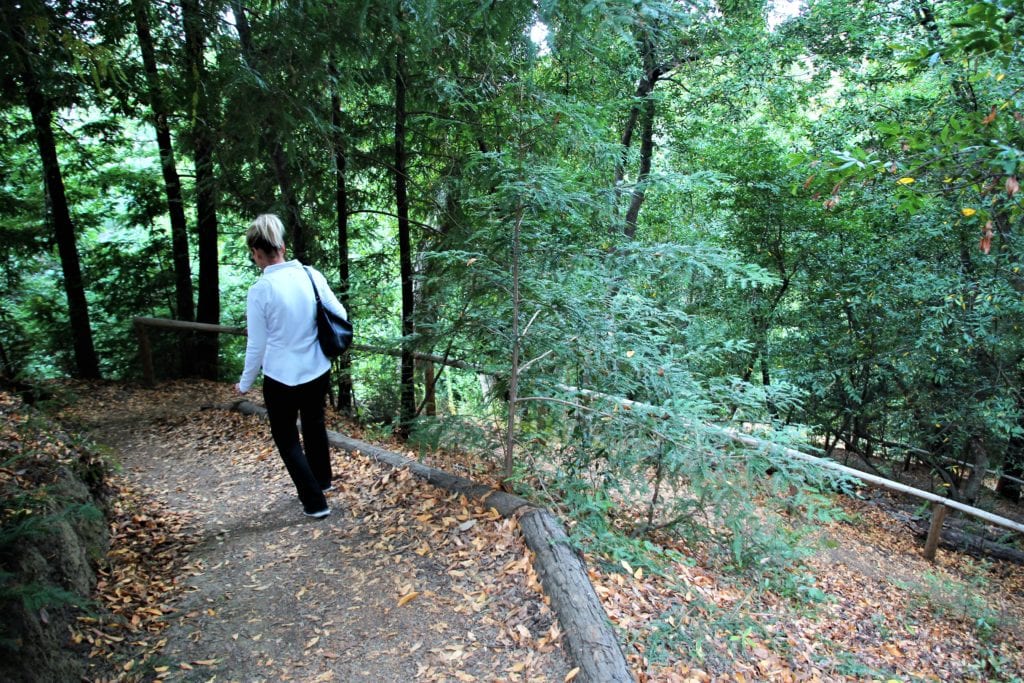 Hiking paths around the property