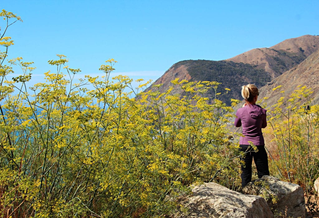 Great hikes close by!