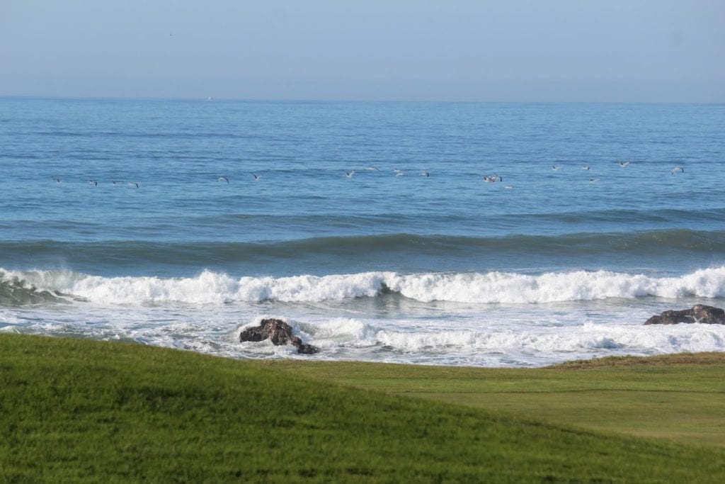 Always5Star Ritz Carlton Half Moon Bay Beach