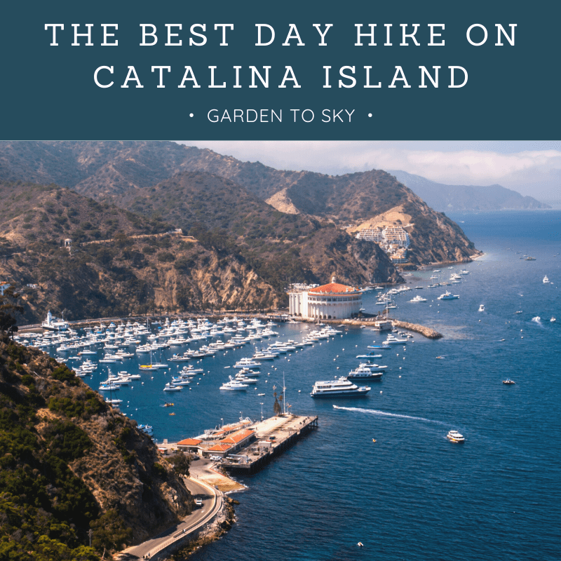 The Best Day Hike On Catalina Island Garden To Sky