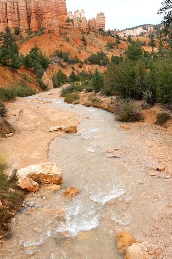 Best Places To Visit From California to Utah: Don't miss Mossy Cave Trail.