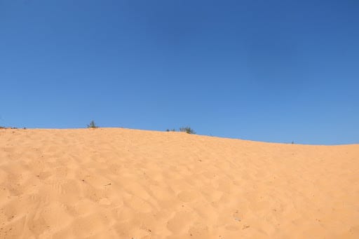 Best Places To Visit From California to Utahf: Fine, powdery sand at Coral Pink Sand Dunes State Park.