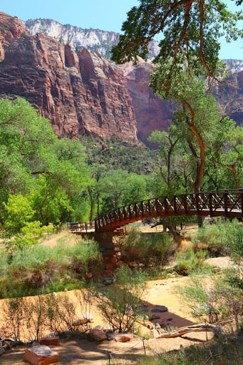 Best Places To Visit From California to Utah: Memories of Zion